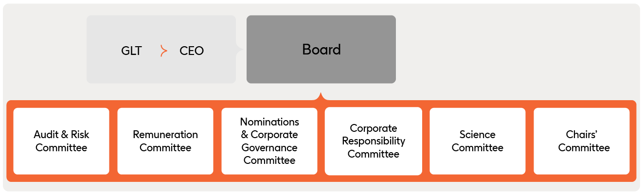 Diagram of board committees reporting into board, further details provided below
