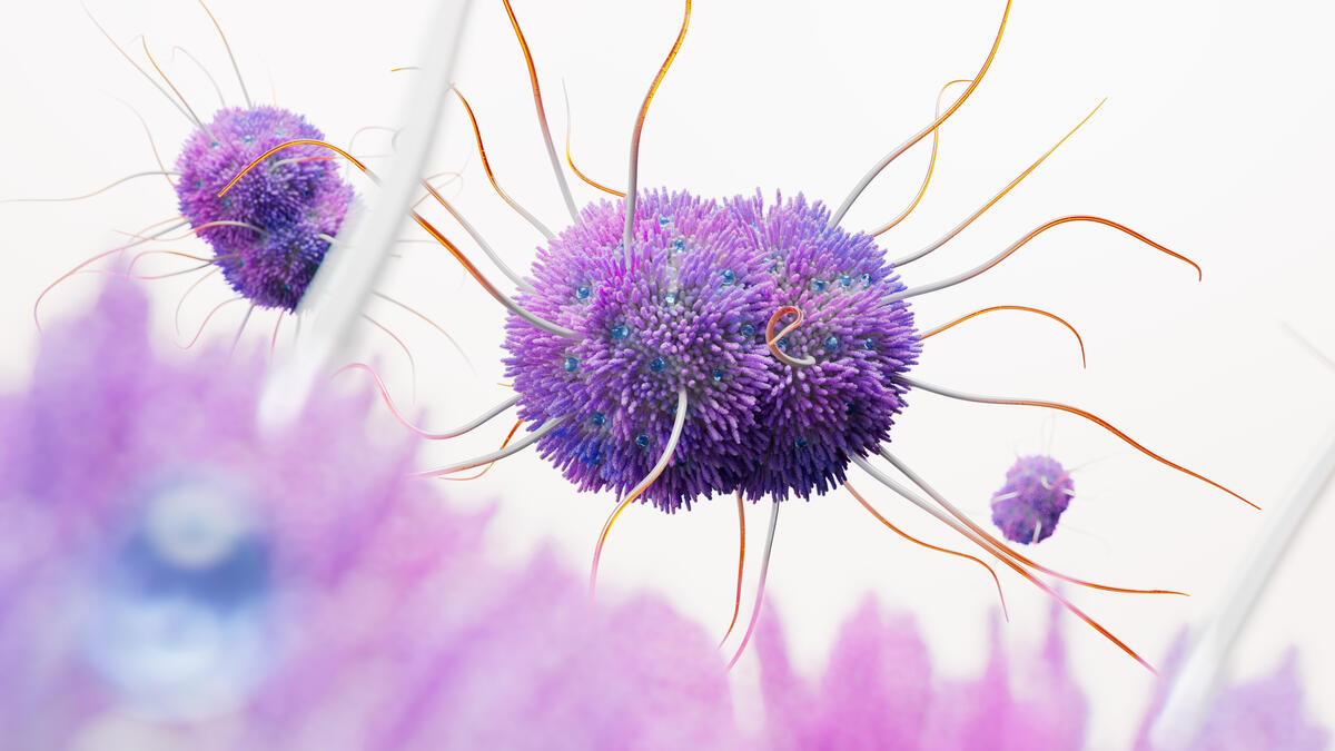 Neisseria Gonorrhoeae Bacteria Science Image