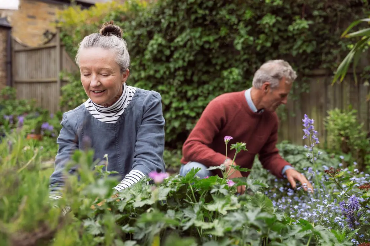 older couple working together in their garden 