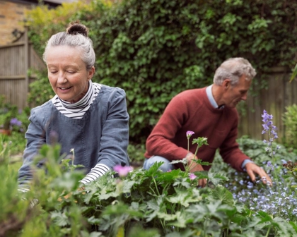 older couple working together in their garden 