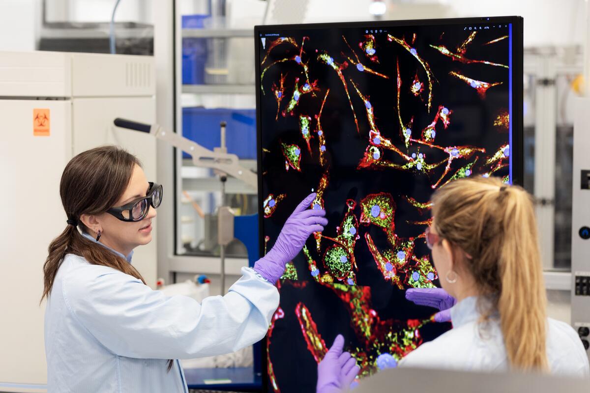 Scientists reviewing data