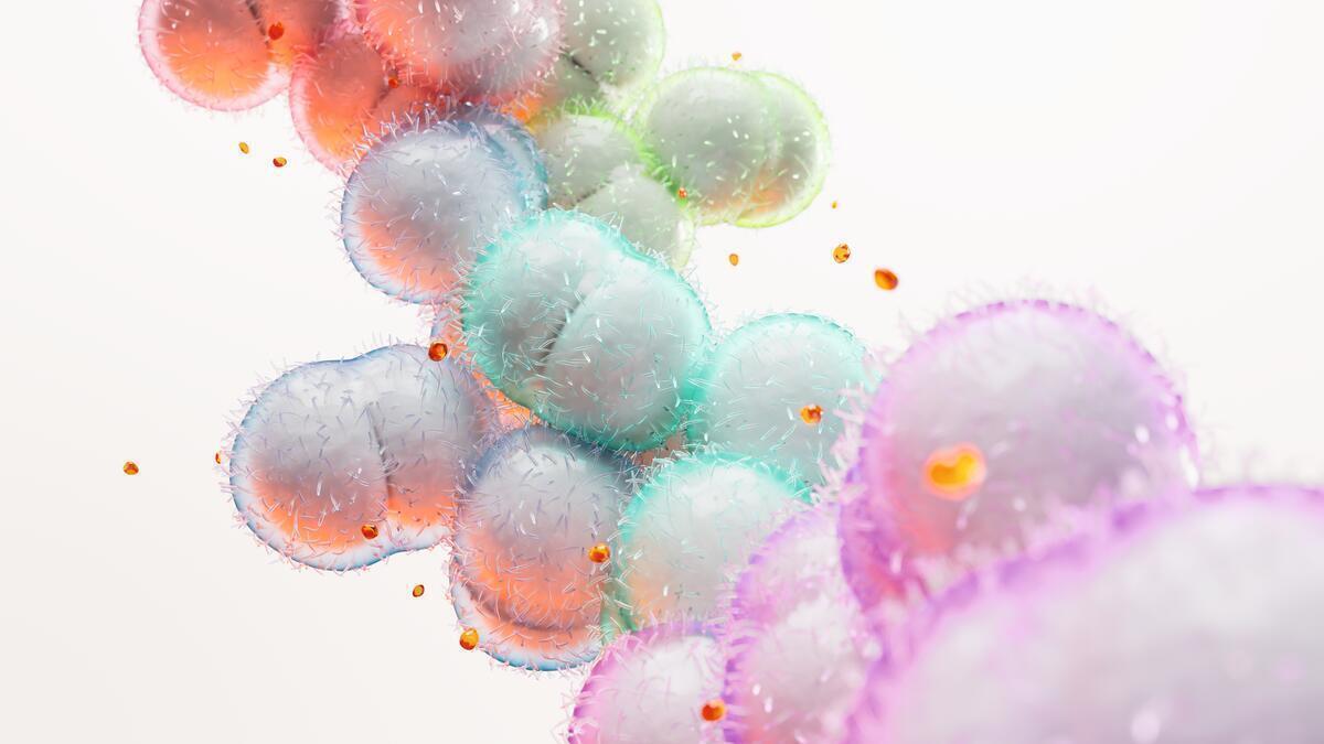 Invasive meningococcal disease science image