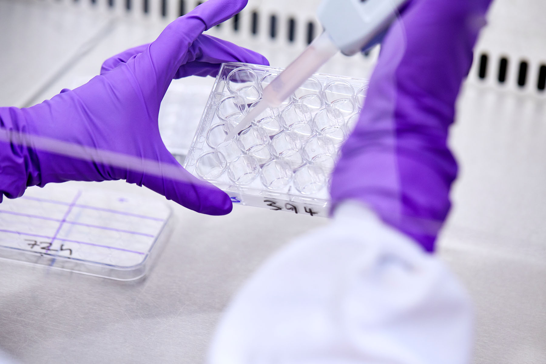 Researcher with purple gloves adding liquid to tubes