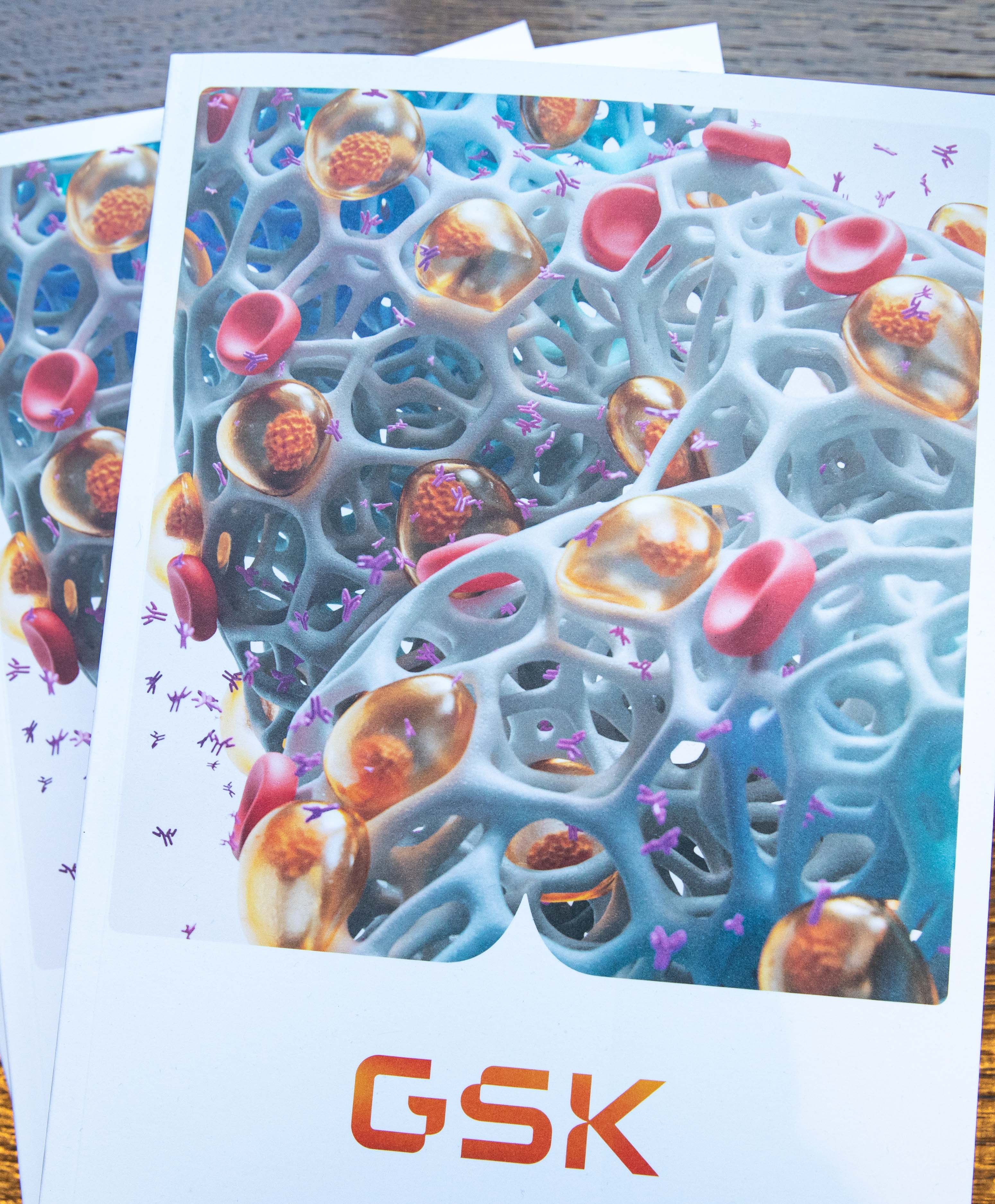 GSK Annual Report cover