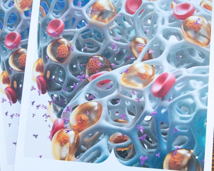 GSK Annual Report cover