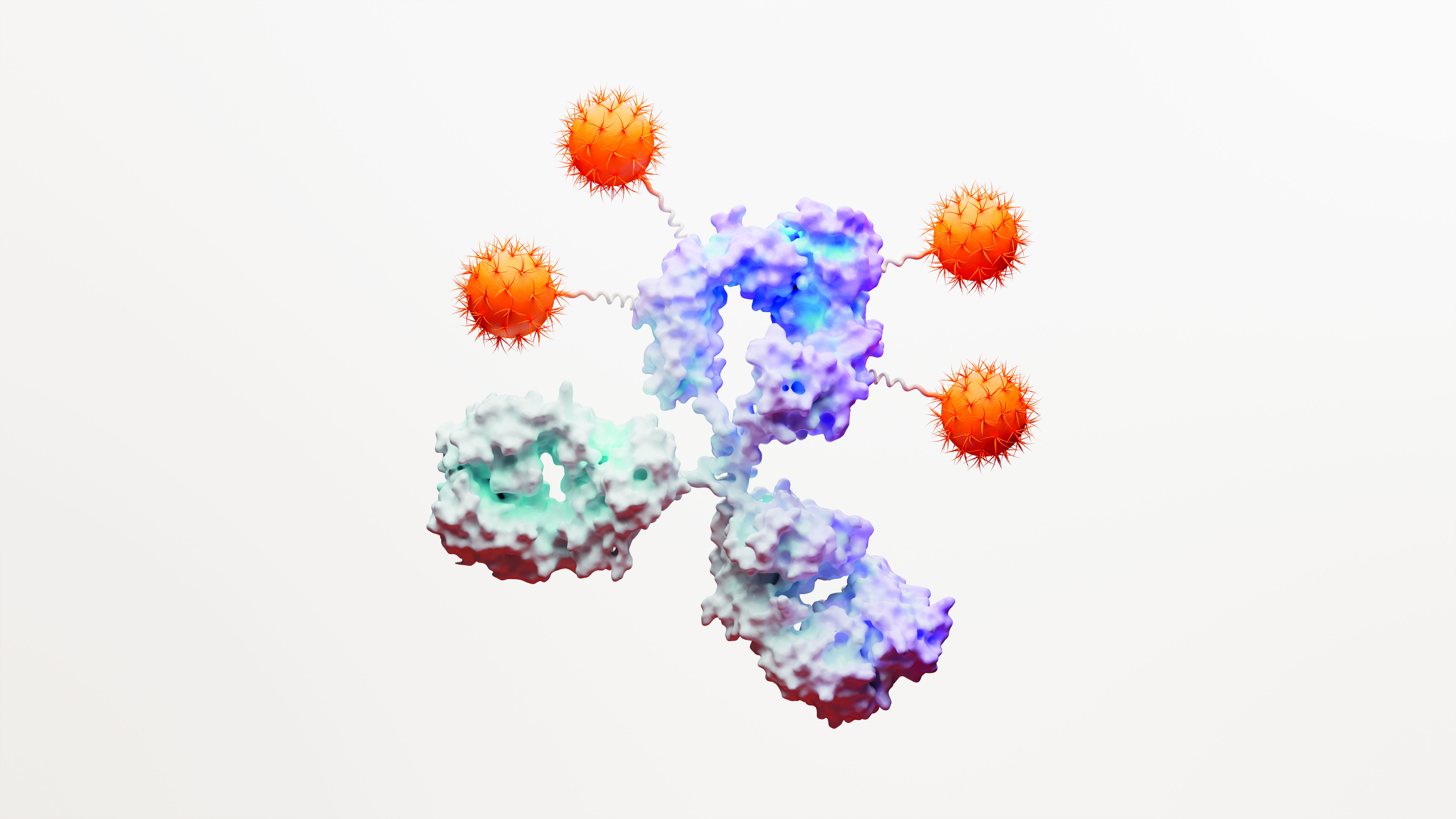 Antibody Drug Conjugate Image