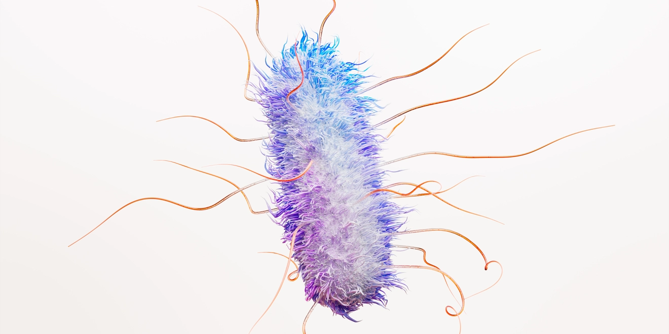 Escherichia Coli (E. Coli) Bacteria Science Image