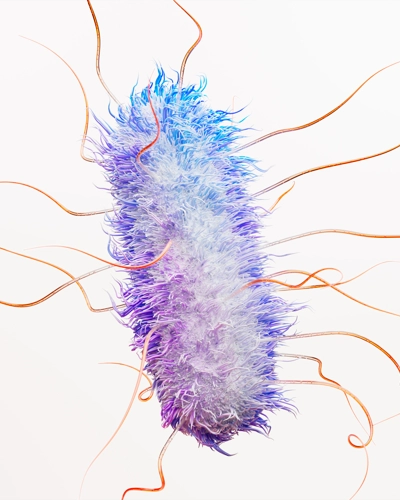 Escherichia Coli (E. Coli) Bacteria Science Image