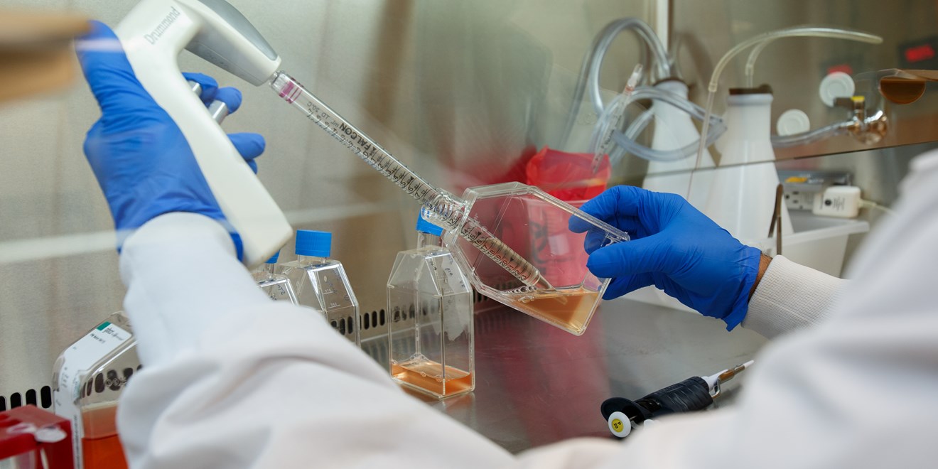 Science work in a lab