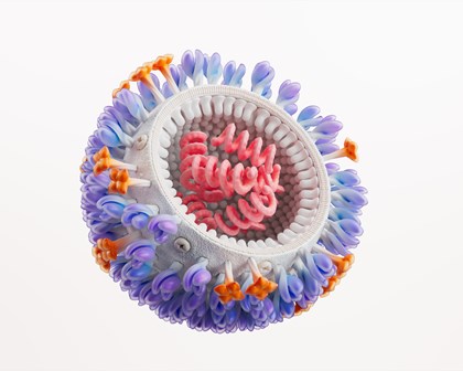 Influenza Science Image