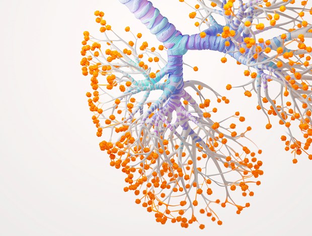 Lungs Science Image