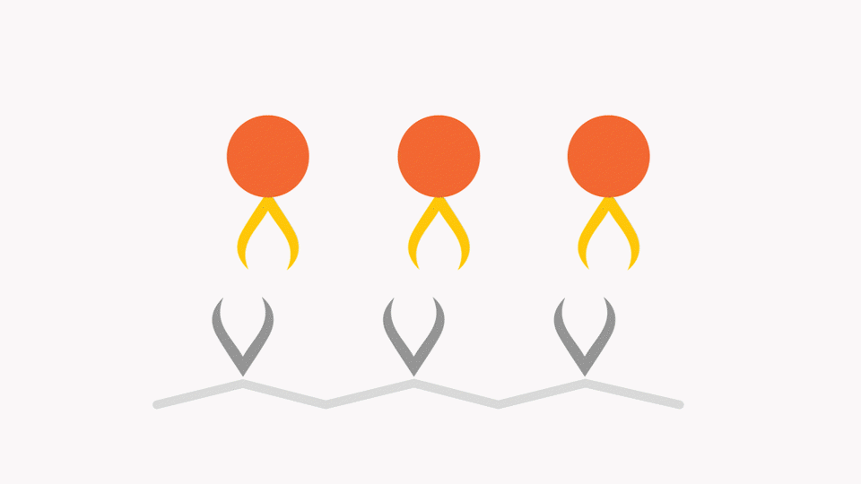 MAPS Vaccine Candidate animation