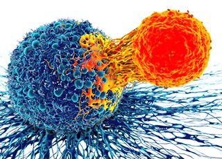 T cell attacking tumour