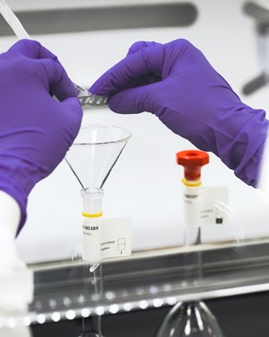 GSK quality lab operator engaged in focussed task.