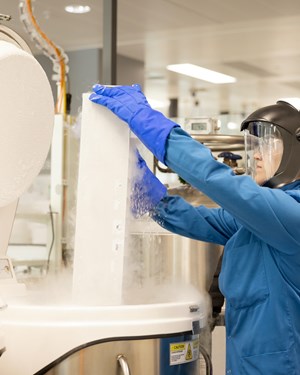 R&D scientist working in cell and gene therapy in biology smart laboratory.