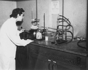 Gertrude Elion preparing one of the leukaemia drugs, c.1952