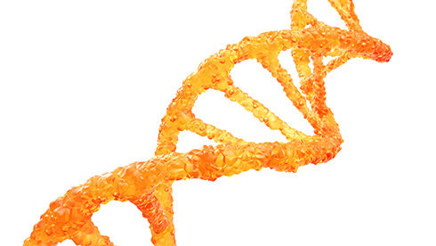 DNA