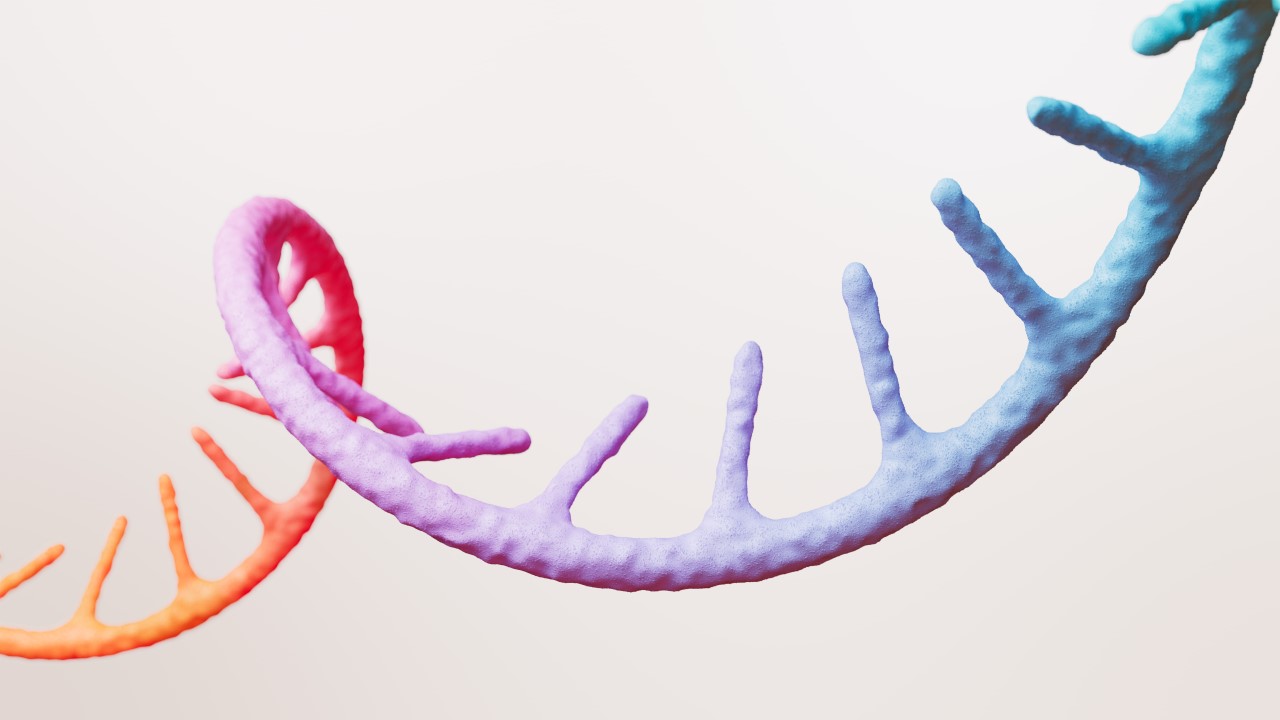 mRNA strand