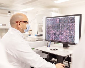 Scientist working with 3D images in screening lab