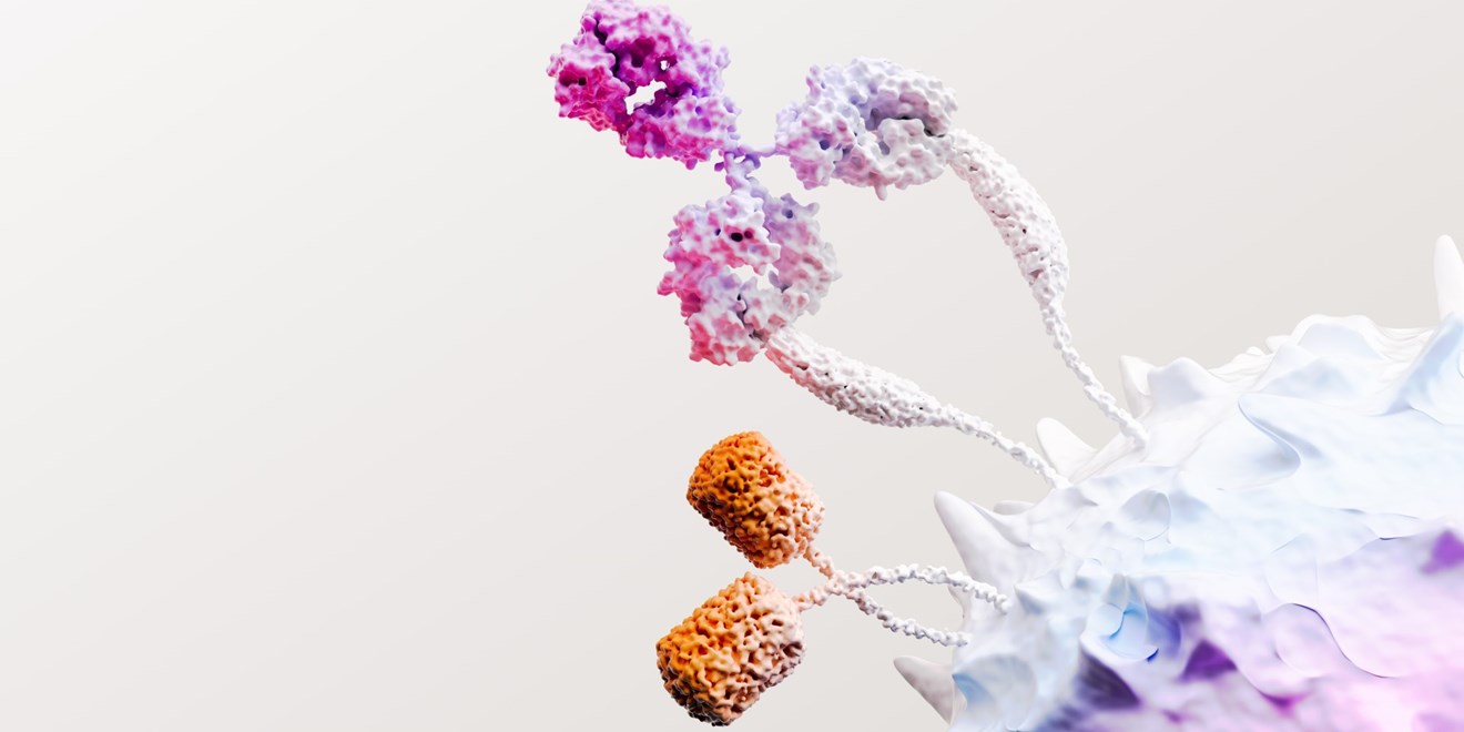Immuno oncology science image