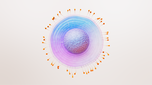 Illustration of the Herpes Zoster Virus