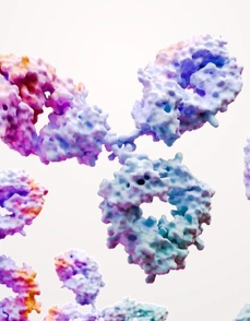 Monoclonal Antibodies Science Image RGB 30943