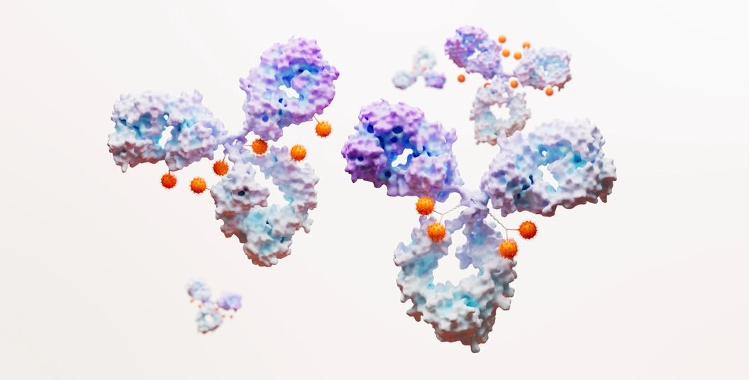 Antibody Drug Conjugate
