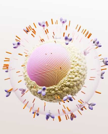 HIV virus graphic