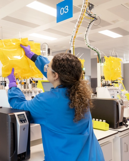 Two lab workers carrying out tasks