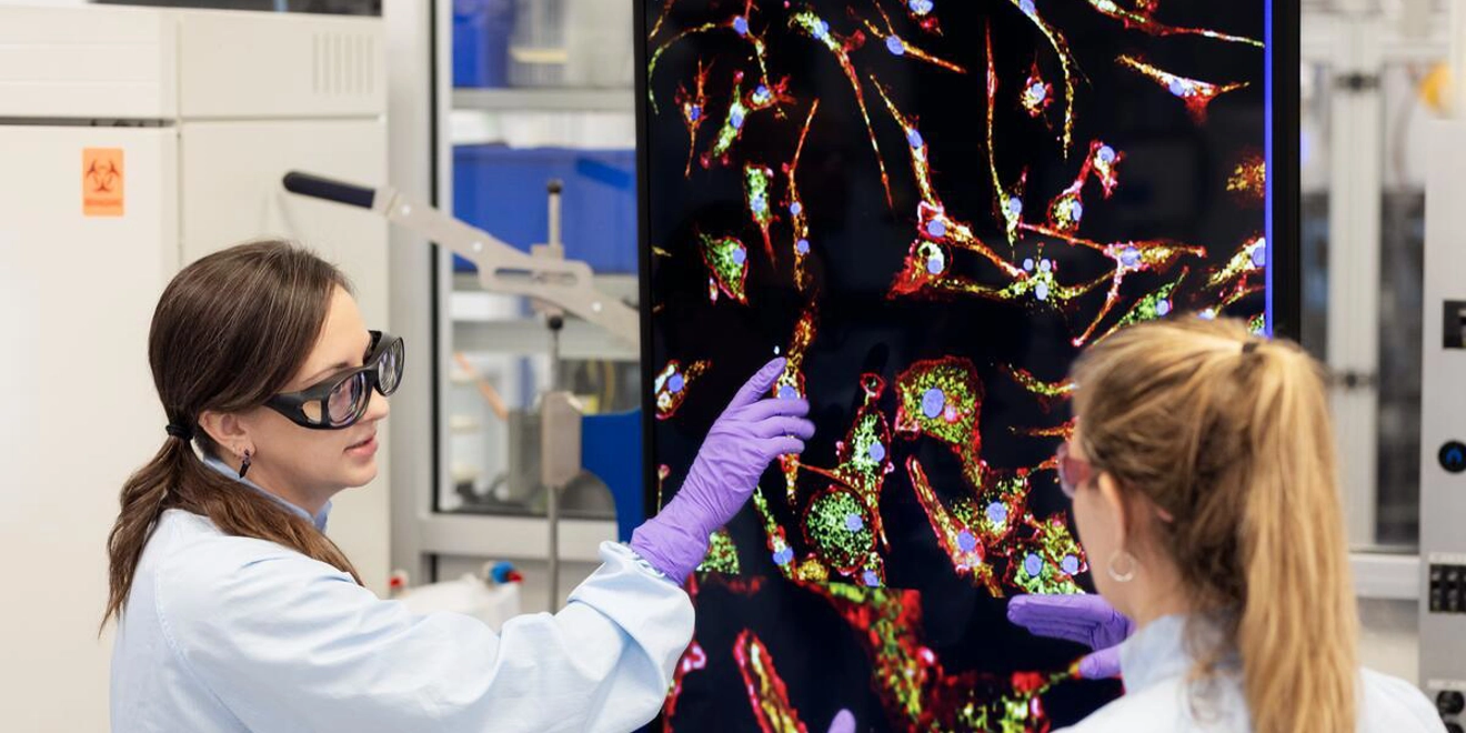 Scientists reviewing data